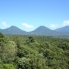 Coffee plantation with the Apaneca Ilamatepec Range in the background